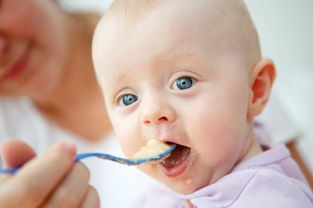 宝宝的第一口辅食怎么添加 这几个原则需记牢