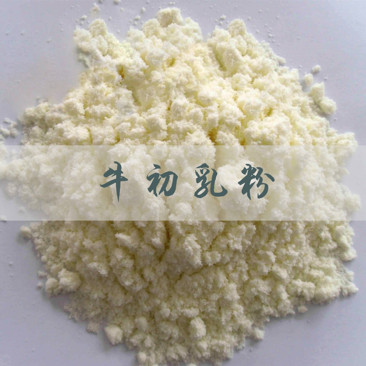 牛初乳粉营养强化剂牛初乳冻干粉